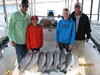 (04/09/2017) - Nice Striped Bass